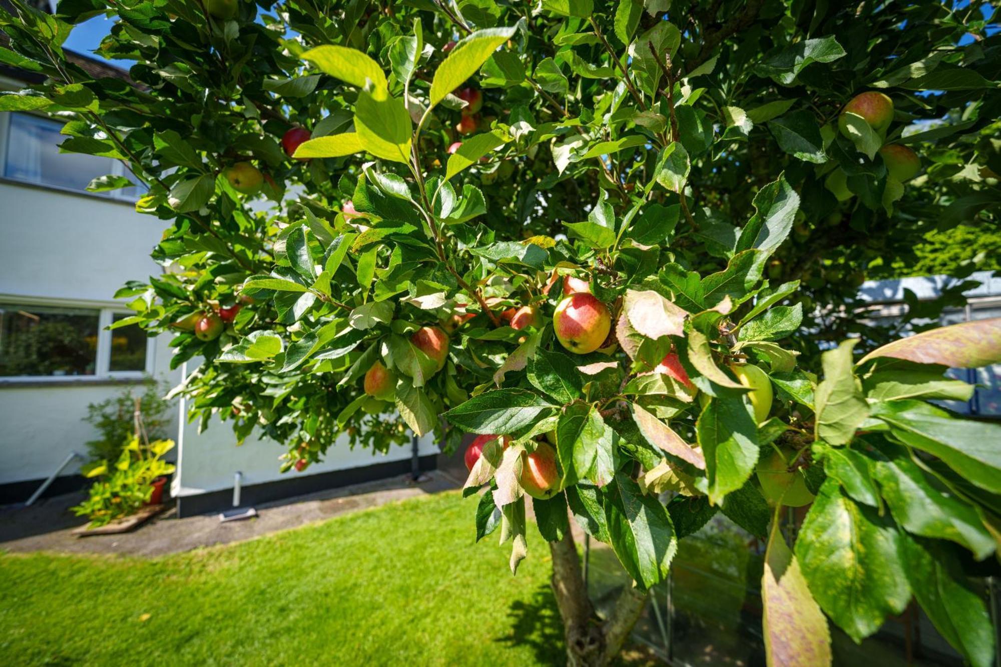 Apple Byrd - Short Stroll Into Kendal Town Centre Exterior foto
